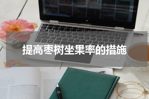 提高枣树坐果率的措施