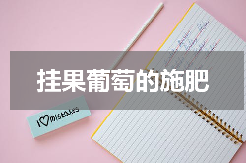 挂果葡萄的施肥