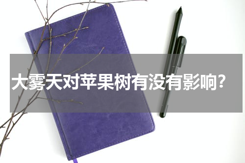 大雾天对苹果树有没有影响？