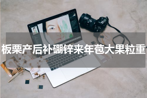 板栗产后补硼锌来年苞大果粒重