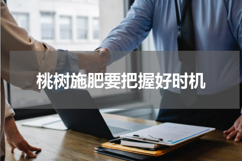 桃树施肥要把握好时机