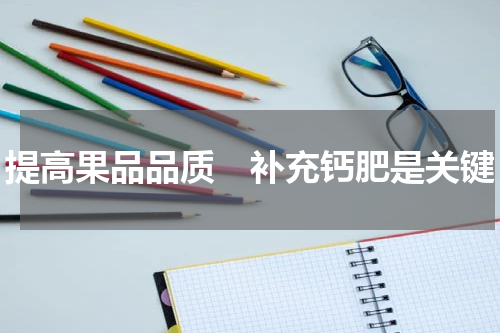 提高果品品质　补充钙肥是关键