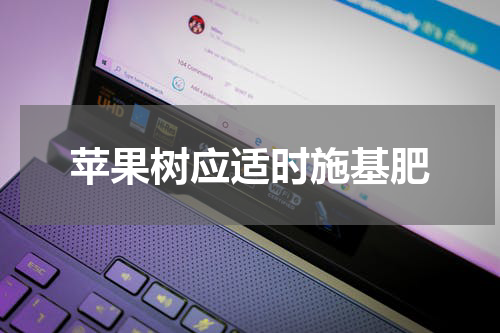 苹果树应适时施基肥
