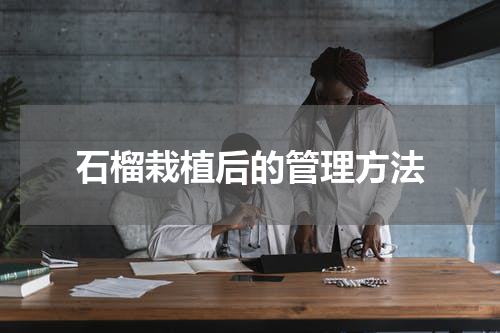 石榴栽植后的管理方法