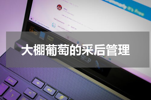 大棚葡萄的采后管理