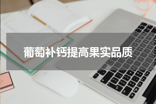 葡萄补钙提高果实品质