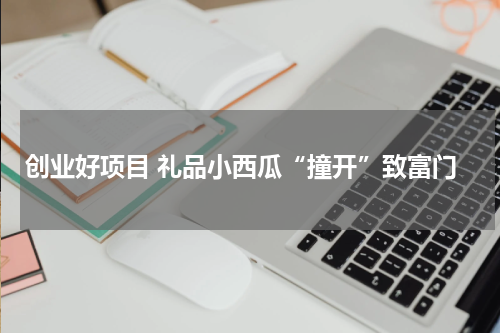 创业好项目 礼品小西瓜“撞开”致富门