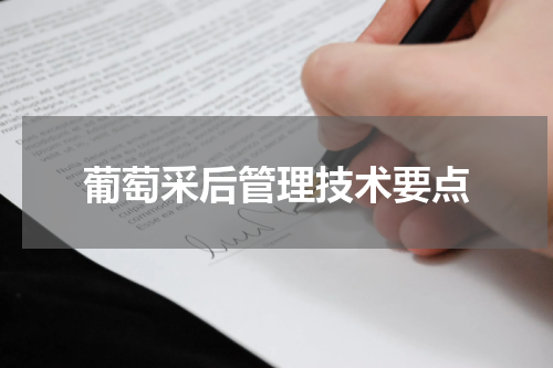 葡萄采后管理技术要点