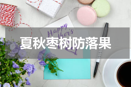 夏秋枣树防落果