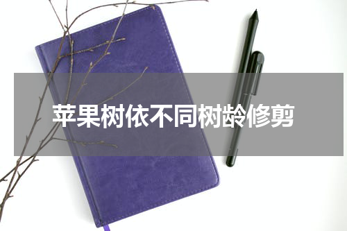 苹果树依不同树龄修剪