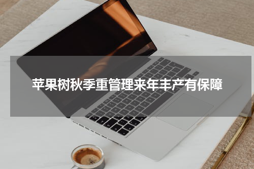 苹果树秋季重管理来年丰产有保障