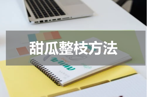 甜瓜整枝方法