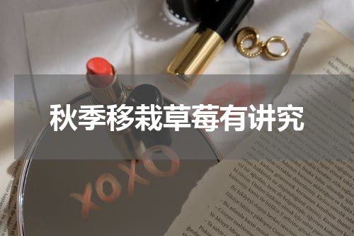 秋季移栽草莓有讲究