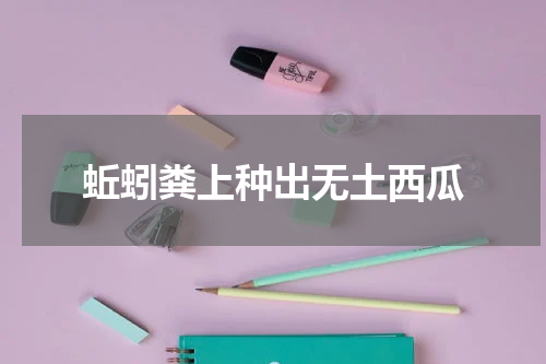 蚯蚓粪上种出无土西瓜