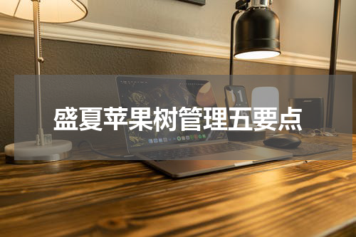 盛夏苹果树管理五要点