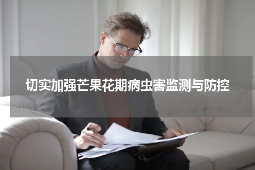 切实加强芒果花期病虫害监测与防控
