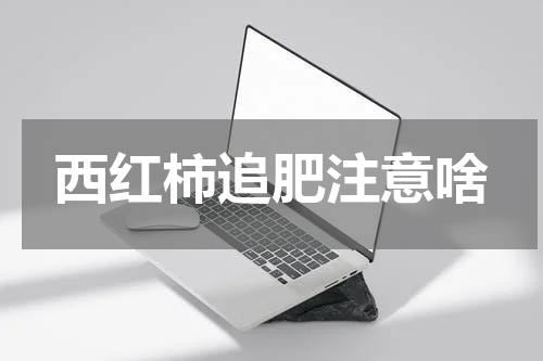 西红柿追肥注意啥