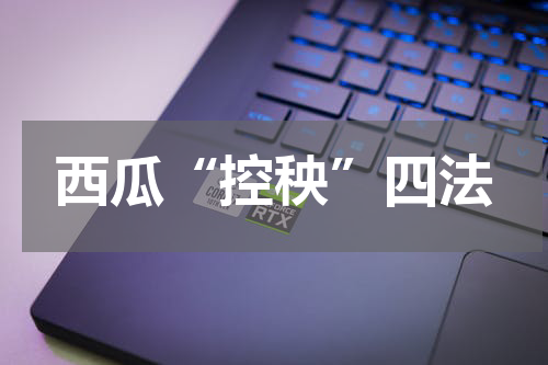 西瓜“控秧”四法