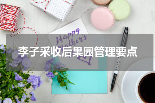 李子采收后果园管理要点
