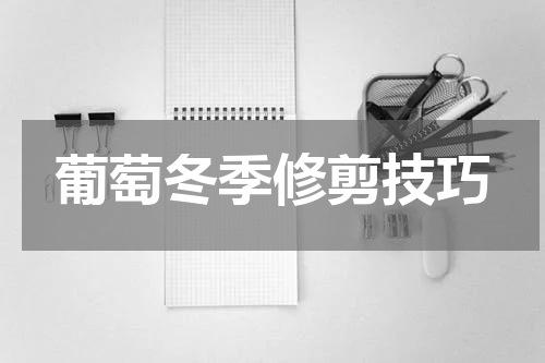 葡萄冬季修剪技巧