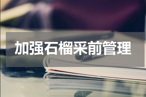 加强石榴采前管理
