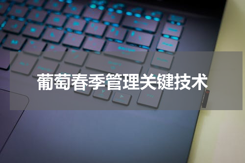 葡萄春季管理关键技术