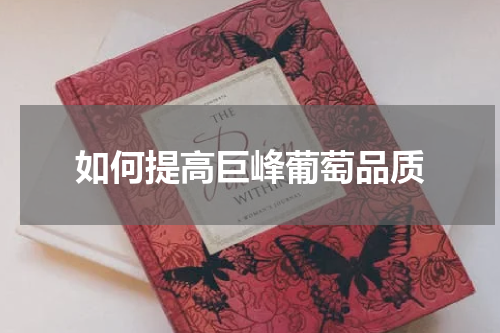 如何提高巨峰葡萄品质