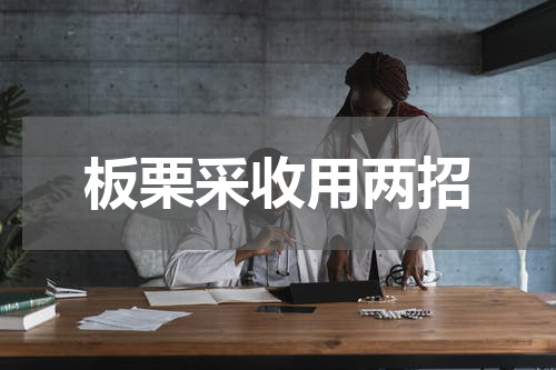 板栗采收用两招