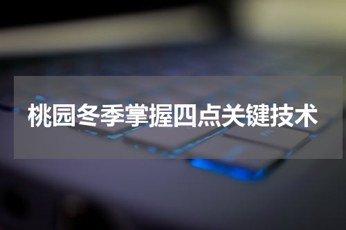 桃园冬季掌握四点关键技术