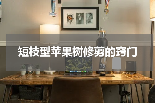 短枝型苹果树修剪的窍门