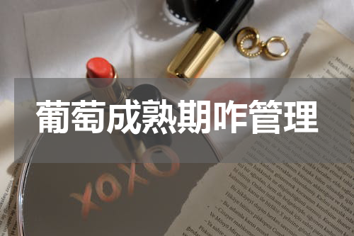 葡萄成熟期咋管理