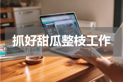 抓好甜瓜整枝工作
