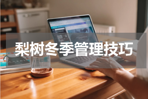 梨树冬季管理技巧