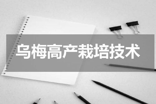 乌梅高产栽培技术