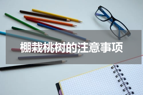 棚栽桃树的注意事项