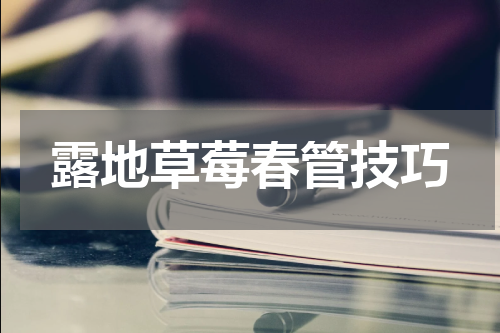 露地草莓春管技巧