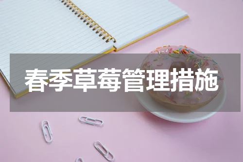 春季草莓管理措施