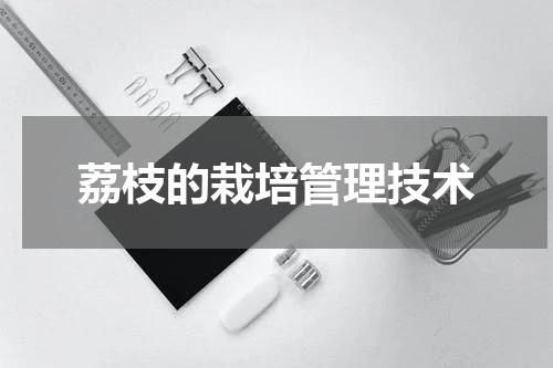 荔枝的栽培管理技术