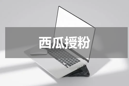 西瓜授粉