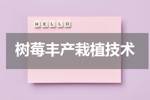 树莓丰产栽植技术
