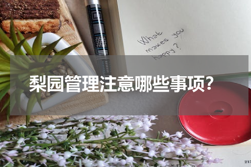 梨园管理注意哪些事项？