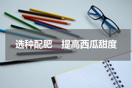 选种配肥　提高西瓜甜度