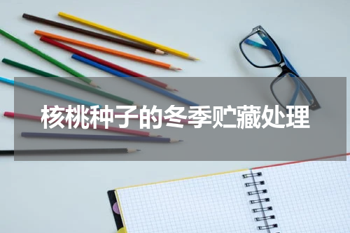 核桃种子的冬季贮藏处理