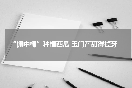 “棚中棚”种植西瓜 玉门产甜得掉牙