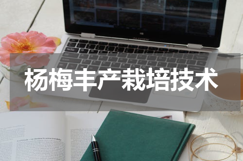 杨梅丰产栽培技术