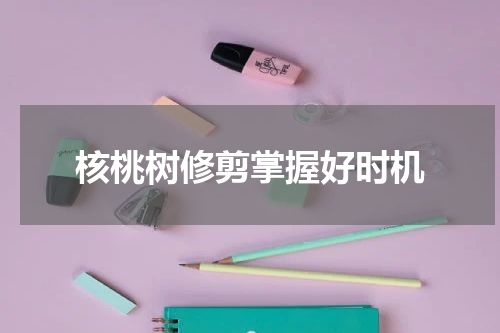 核桃树修剪掌握好时机