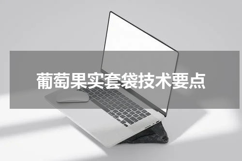 葡萄果实套袋技术要点