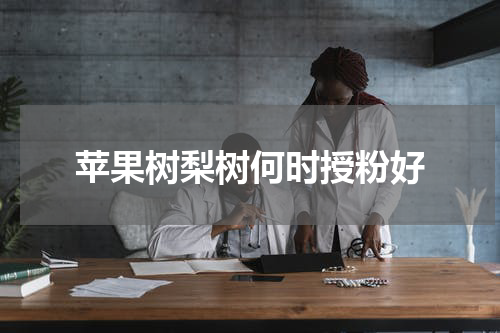 苹果树梨树何时授粉好