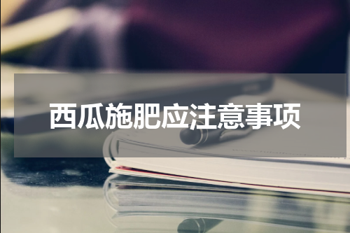 西瓜施肥应注意事项