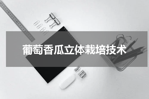 葡萄香瓜立体栽培技术